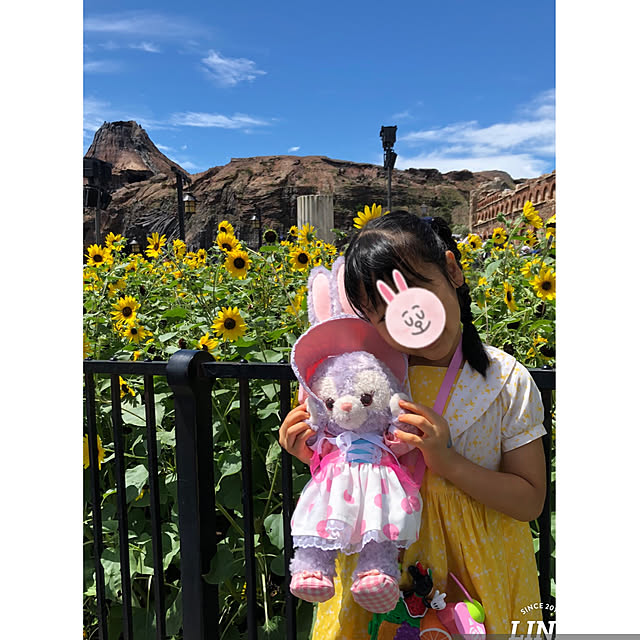 実例写真