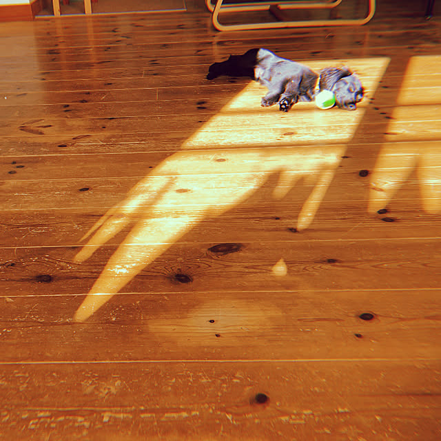 kyaoさんの実例写真