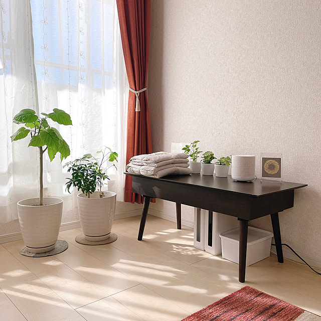 rinoさんの実例写真