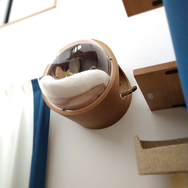 mochicoさんの実例写真