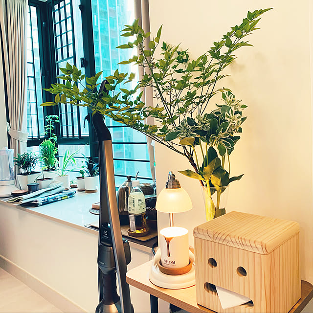 観葉植物/無印良品/リビングのインテリア実例 - 2021-05-17 14:14:09