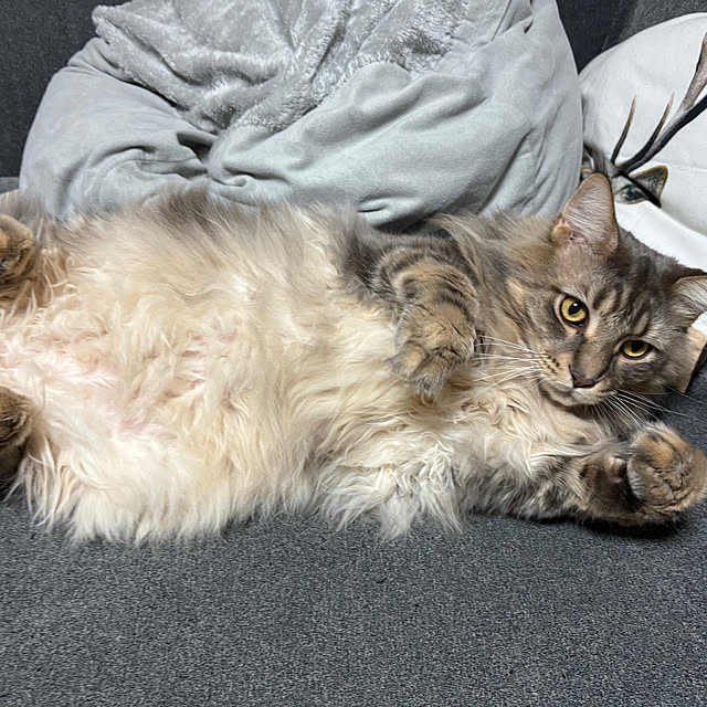 mayumiさんの部屋