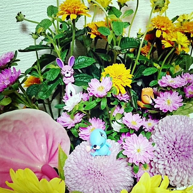 noakiさんの実例写真