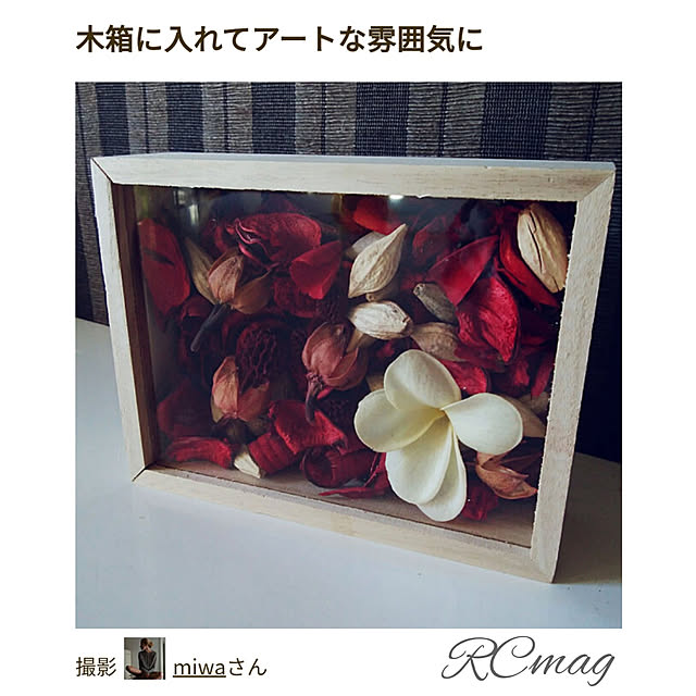 miwaさんの実例写真