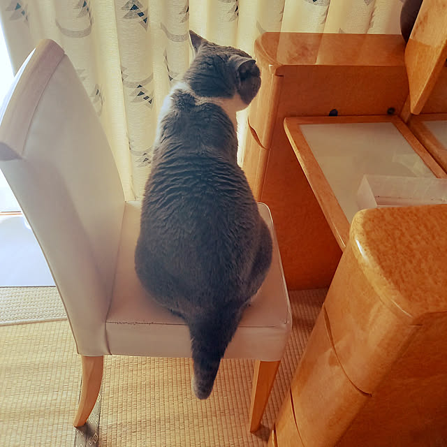 rhuさんの実例写真