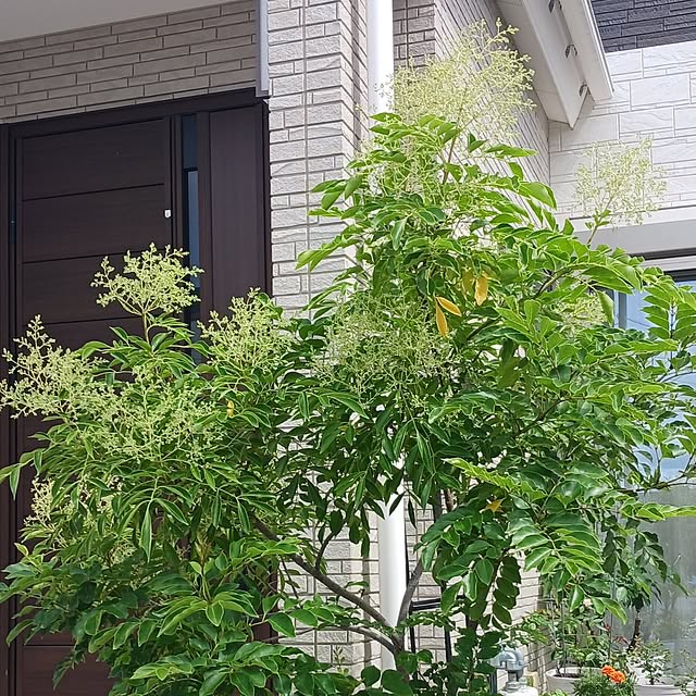 aiさんの部屋