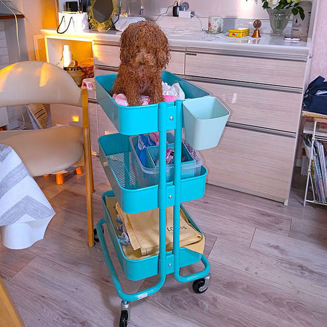棚/シャンプー/すっきり暮らしたい/シンプルに暮らしたい/マンション暮らし...などのインテリア実例 - 2022-05-17 20:47:17