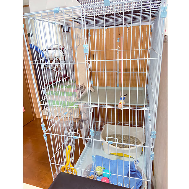 hansho.sさんの実例写真