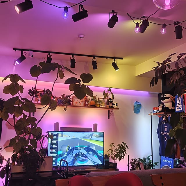 qolongislandさんの部屋