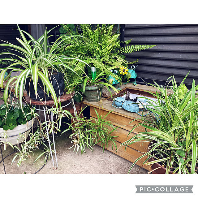 CoCo0617さんの部屋