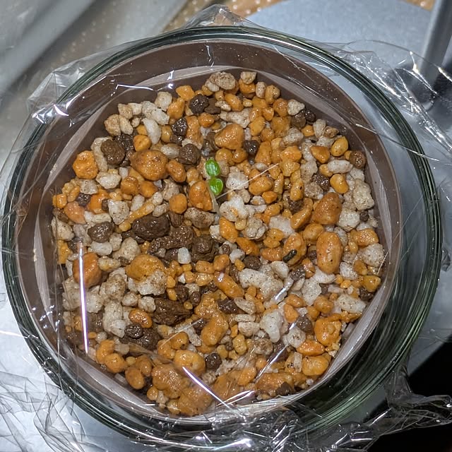 mi-saさんの部屋