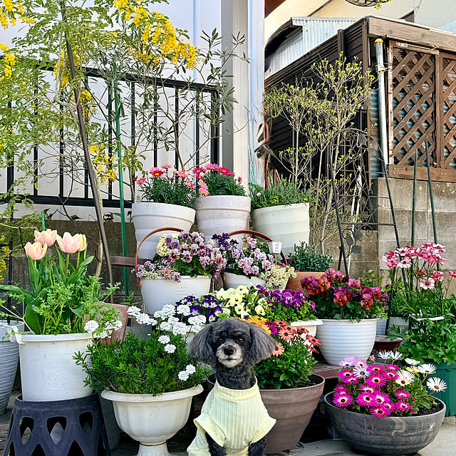 punknさんの実例写真