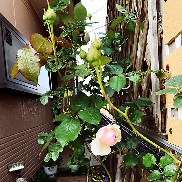 KYONさんの部屋