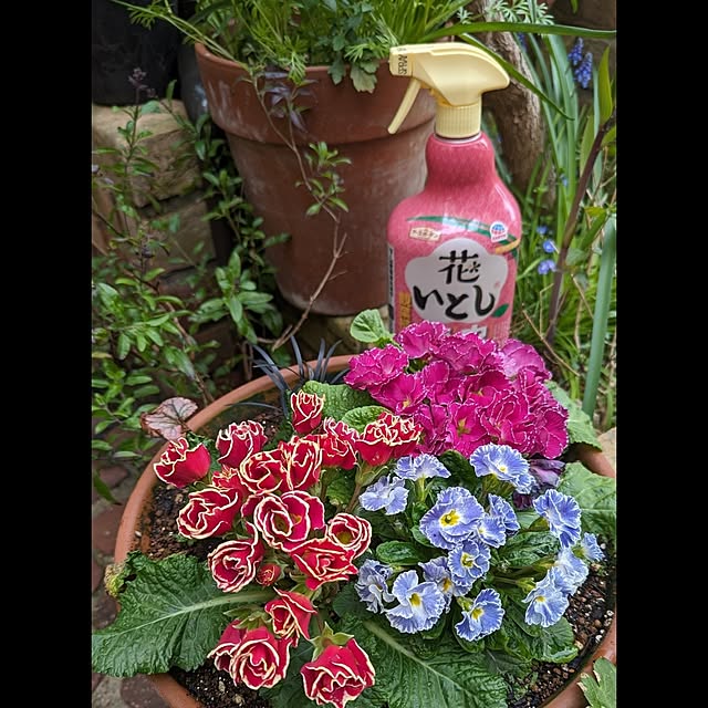 aromameさんの実例写真