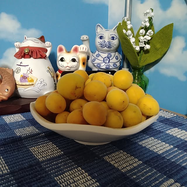 kiyohima229さんの部屋