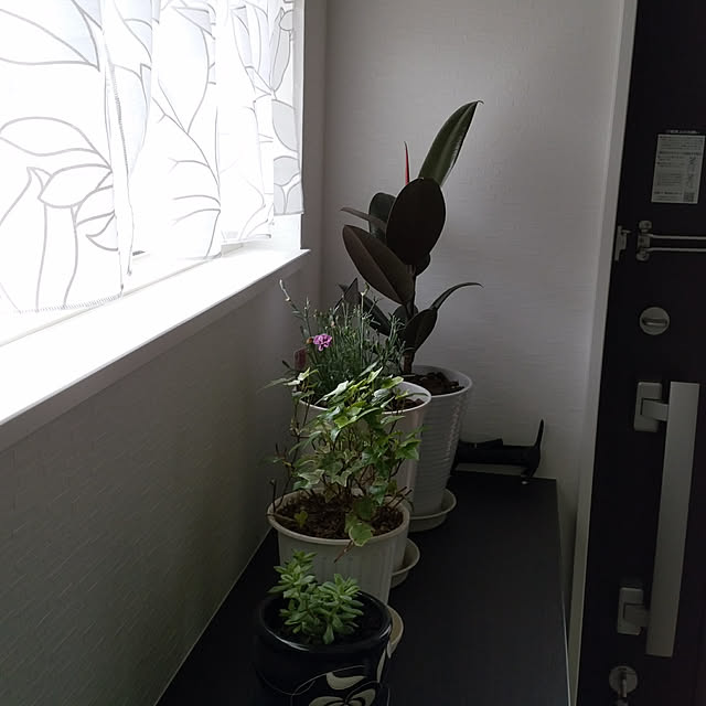 azumonaさんの実例写真