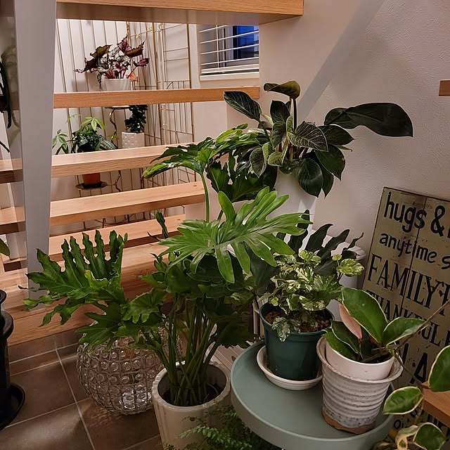 nonbiri_house_さんの部屋