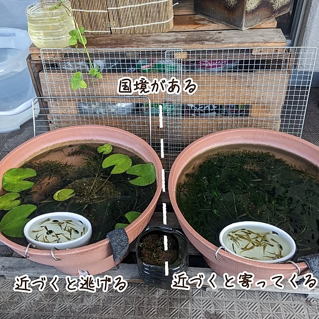 mi-saさんの部屋