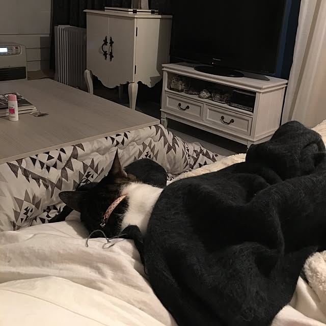 Shihoさんの実例写真