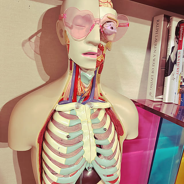 endlesssummerさんの実例写真