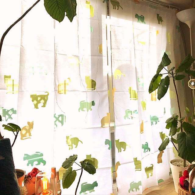 mikazoさんの実例写真