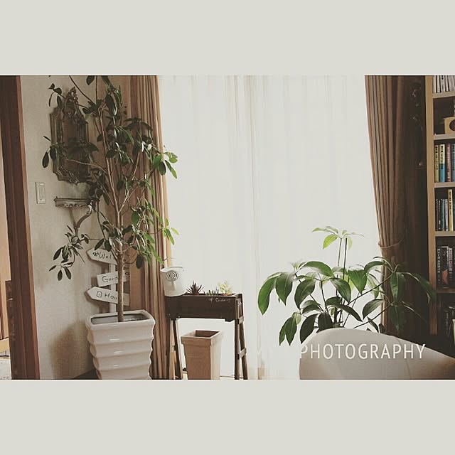 Chihiroさんの実例写真