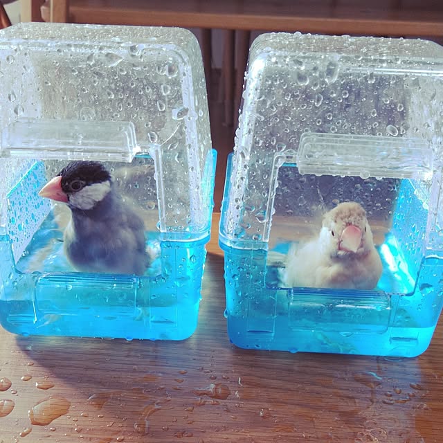 fujifujiさんの実例写真