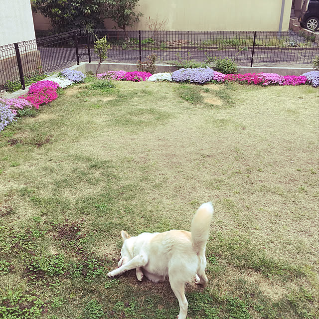 uc-makiさんの実例写真