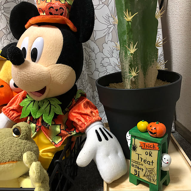 toolさんの実例写真