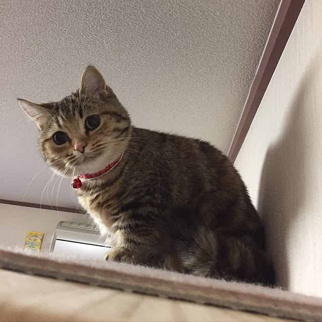 keibooさんの実例写真