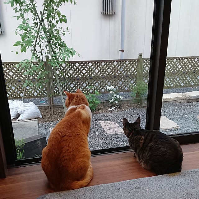 taka-kiさんの実例写真