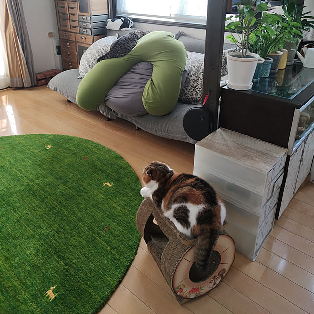 hiro3さんの実例写真