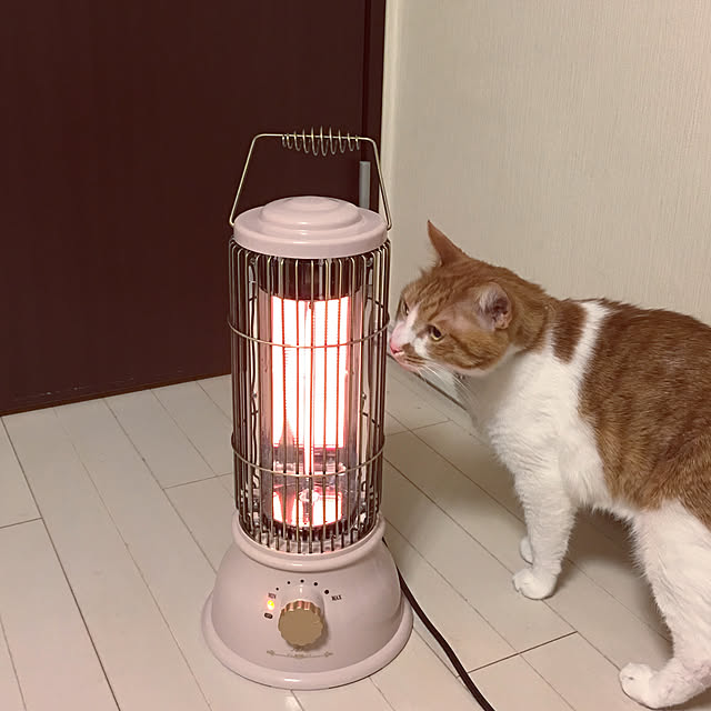 nyanyakoさんの実例写真