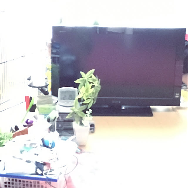 k_dinoさんの実例写真
