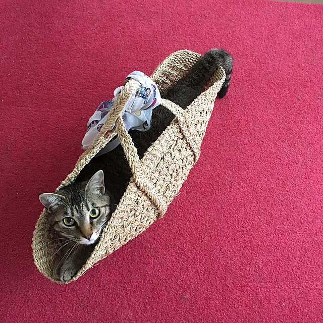 mikomaruさんの実例写真