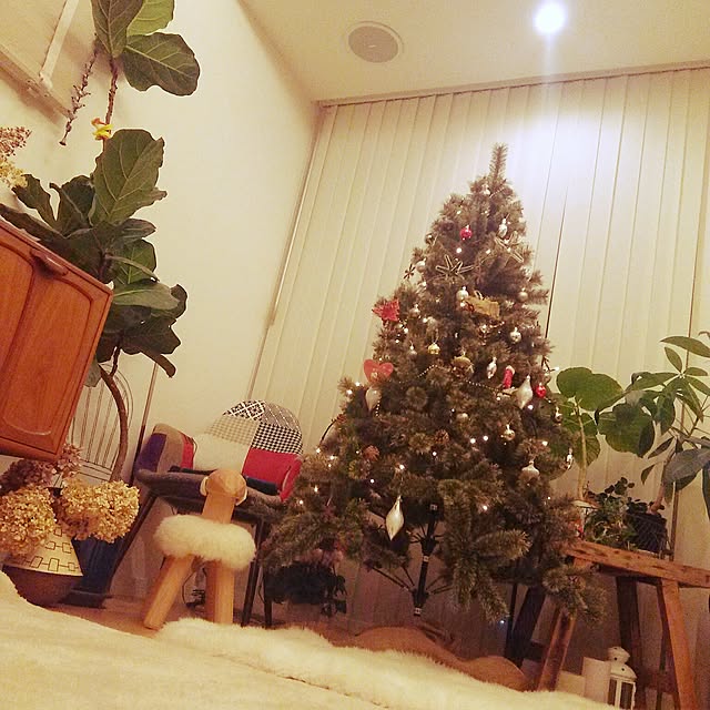 mai.123さんの実例写真