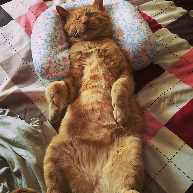 klaroomさんの実例写真