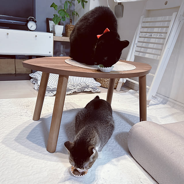 nekomiさんの部屋