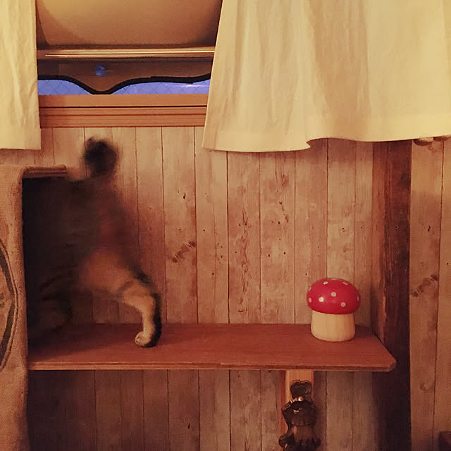 Mさんの実例写真