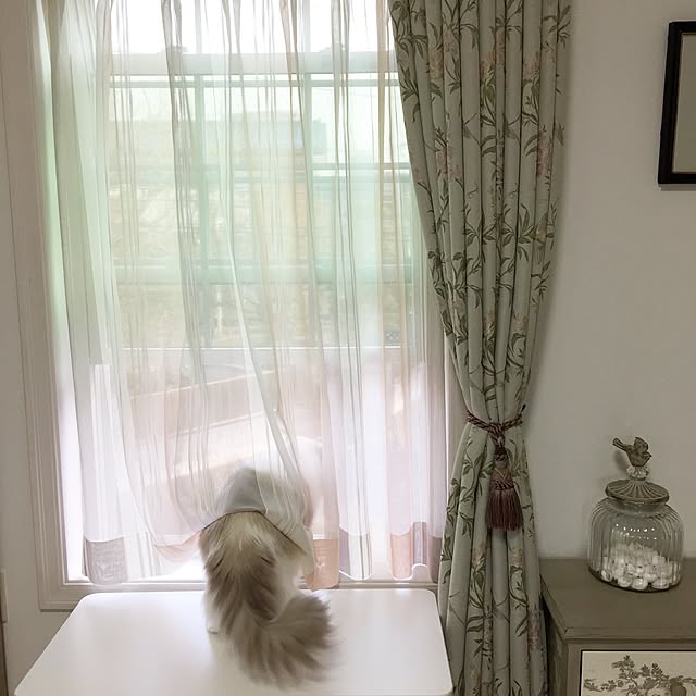 yuchiさんの実例写真