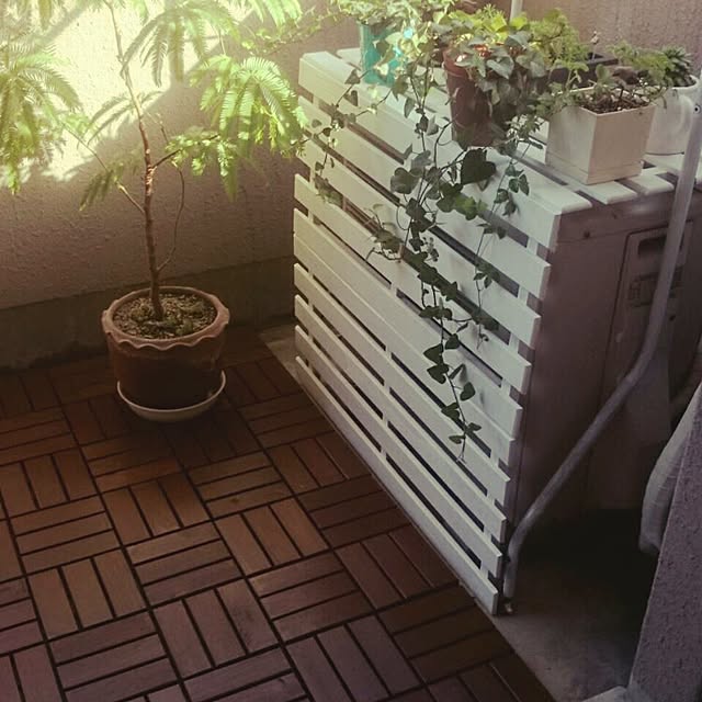 KumiKumiさんの実例写真