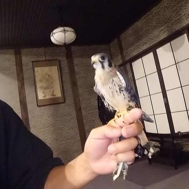 5160ksさんの実例写真