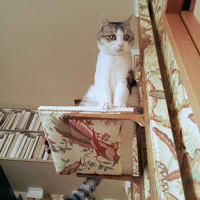 emmyyさんの実例写真