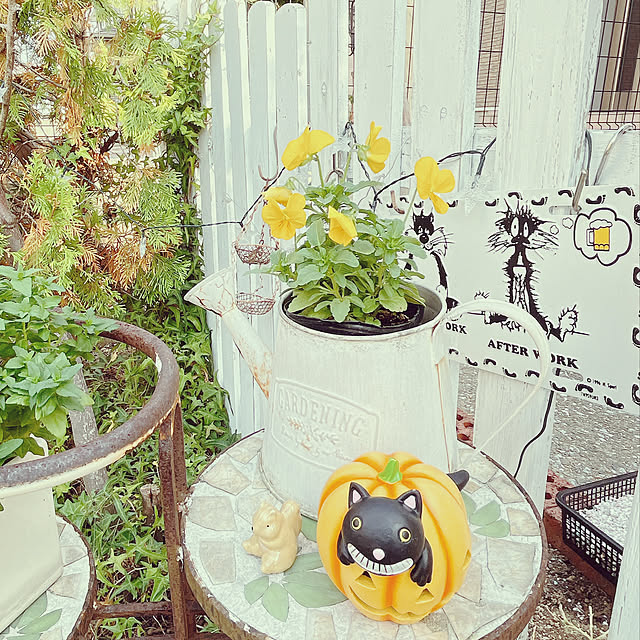 moolさんの部屋