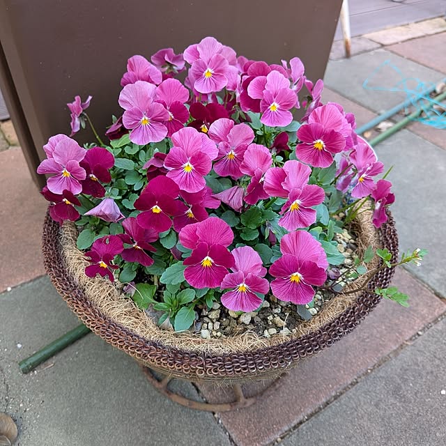 Bienvenueさんの部屋