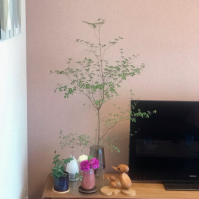 Saraさんの実例写真