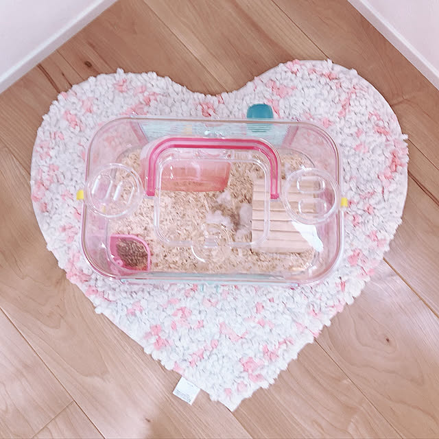maiさんの実例写真