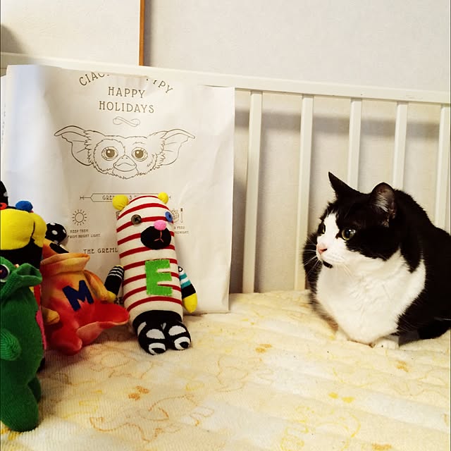 kazuさんの実例写真