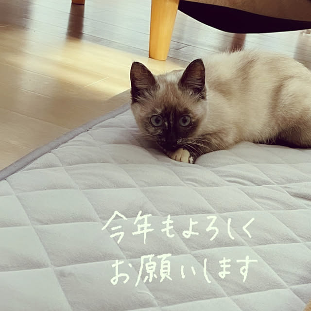 yu-iさんの実例写真