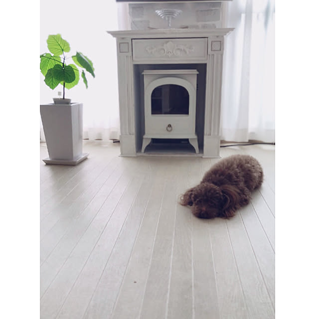 noelさんの実例写真